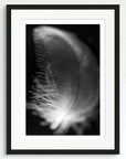 Black and white art print of a baby feather, titled ‘Strength Feather’, presented in a black frame.