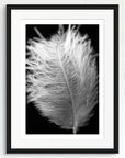 Black and white art print of a baby feather, titled ‘Protection Feather’, presented in a black frame.