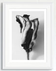 Black and white art print of a flower, titled ‘Rose Mallow’, presented in a white frame.