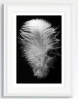 Black and white art print of a baby feather, titled ‘Serenity Feather’, presented in a white frame.