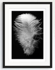 Black and white art print of a baby feather, titled ‘Serenity Feather’, presented in a black frame.