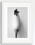 Birds Eye—a black and white art print framed in white.