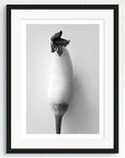 Birds Eye—a black and white art print framed in black.