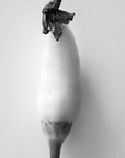 A single chili with a flower black and white art print.