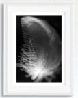 Black and white art print of a baby feather, titled ‘Strength Feather’, presented in a white frame.