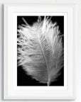 Black and white art print of a baby feather, titled ‘Protection Feather’, presented in a white frame.