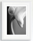 Black and white art print of a Dendrobium orchid flower, titled ‘Orchid’, presented in a white frame.