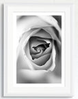 Black and white art print of a rose, titled ‘Rose’, presented in a white frame.