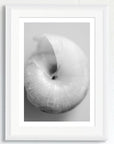 Black and white art print of a baby snail shell, titled ‘Snail Shell’, presented in a white frame.