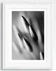 Black and white art print of Ixora flowers, titled ‘Spiky Buds’, presented in a white frame.
