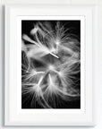 Black and white art print of floating dandelion seeds, titled ‘Nymphs’, presented in a white frame.