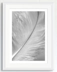 Black and white art print of a baby feather, titled ‘White Feather’, presented in a white frame.