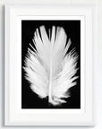 Black and white art print of a baby feather, titled ‘Lucky Feather’, presented in a white frame.