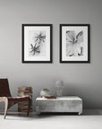 Two black and white art prints, including ‘Rain Lily' and 'Flying Geese’, presented in black frames, shown on a study wall.