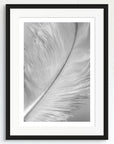 Black and white art print of a baby feather, titled ‘White Feather’, presented in a black frame.
