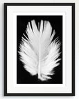 Black and white art print of a baby feather, titled ‘Lucky Feather’, presented in a black frame.
