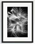 Black and white art print of floating dandelion seeds, titled ‘Nymphs’, presented in a black frame.