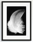 Black and white art print of a baby feather titled ‘Guardian Feather’, presented in a black frame.