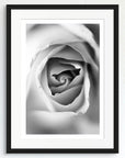 Black and white art print of a rose, titled ‘Rose’, presented in a black frame.