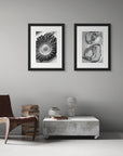 Two black and white art prints, including ‘Cordy' and 'Gills’, presented in black frames, shown on a study wall.