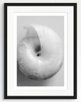 Black and white art print of a baby snail shell, titled ‘Snail Shell’, presented in a black frame.