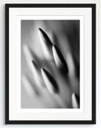 Black and white art print of Ixora flowers, titled ‘Spiky Buds’, presented in a black frame.