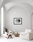 Black and white art print of a baby snail shell, titled ‘Whorl’, presented in a black frame.