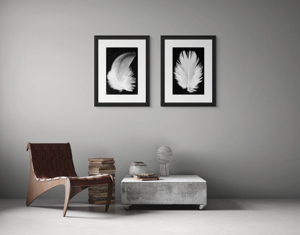 Two framed photographs of white feathers hanging on a wall.