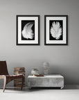 Two framed photographs of white feathers hanging on a wall.