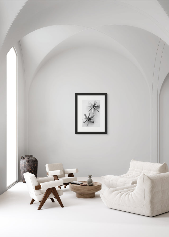 Black and white framed photograph of two seed pods hanging on a wall in an all-white minimalist contemporary style living room.