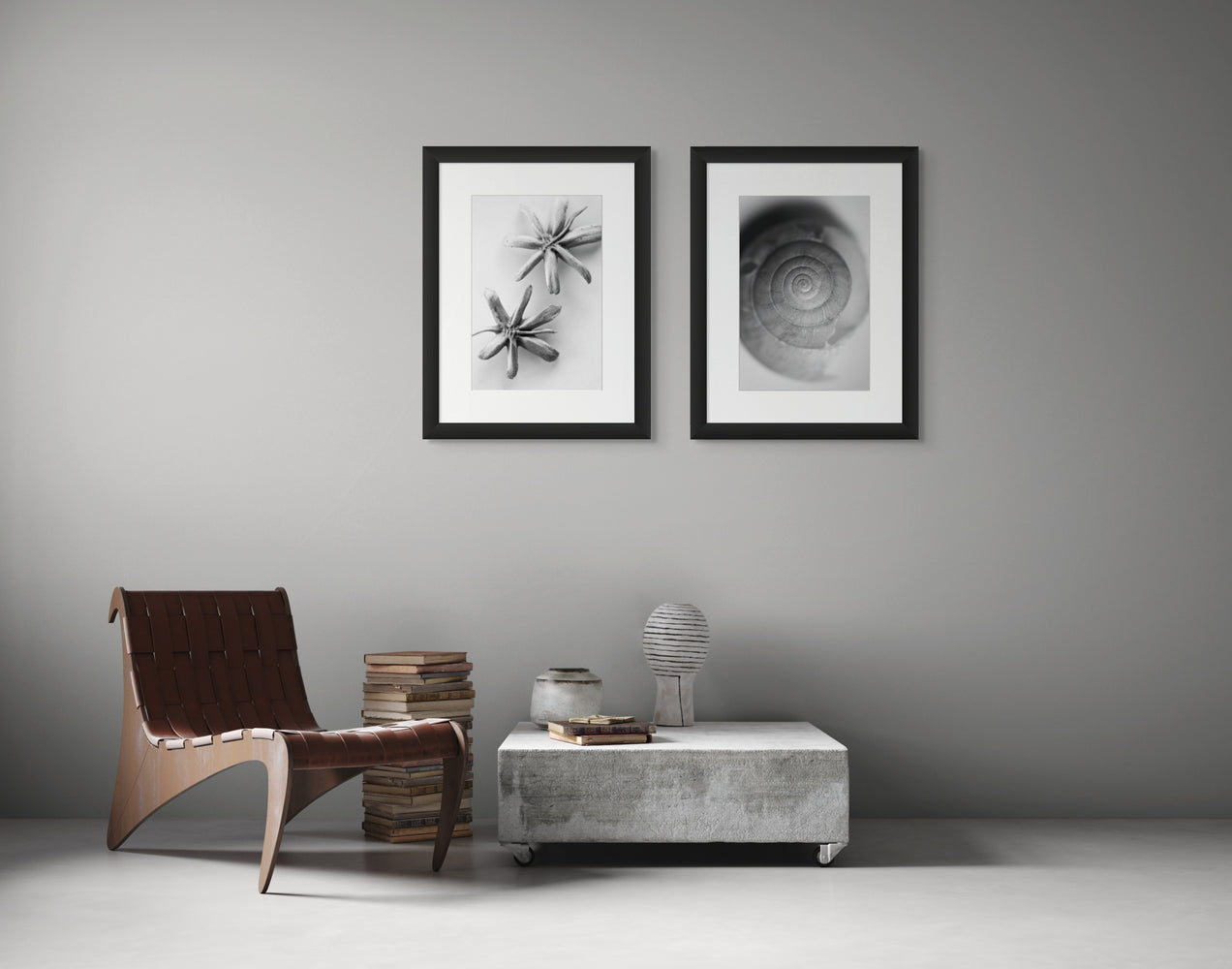 Seed pods, &amp; a snail shell framed photographs hanging side-by-side on a wall in a minimalist living space.