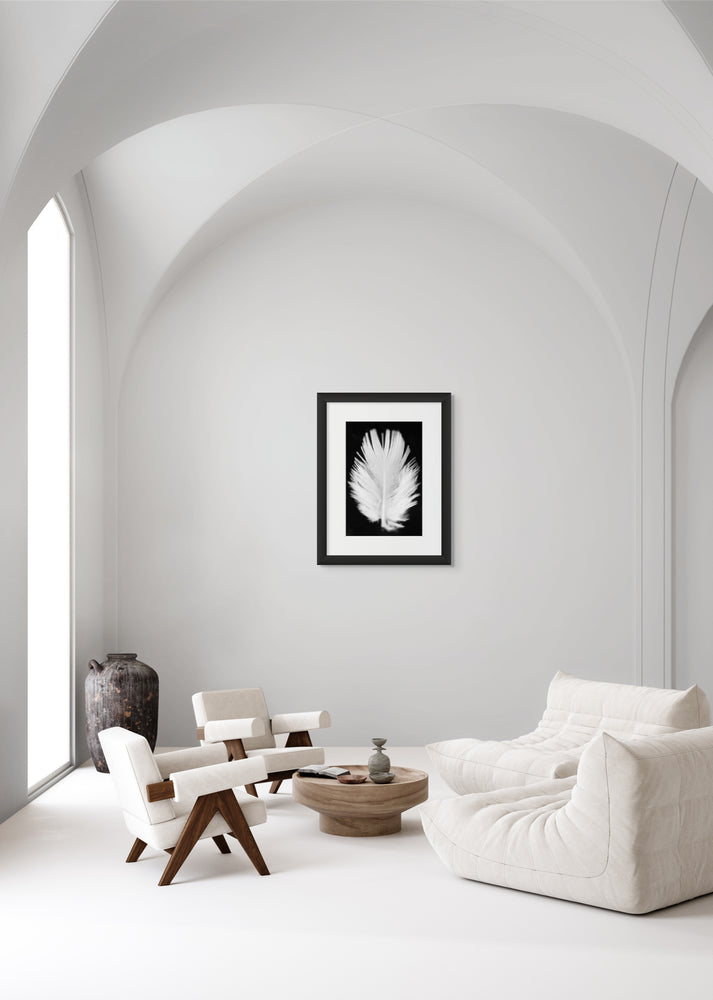 Framed black and white photograph of a white feather hanging on an all-white living room wall.