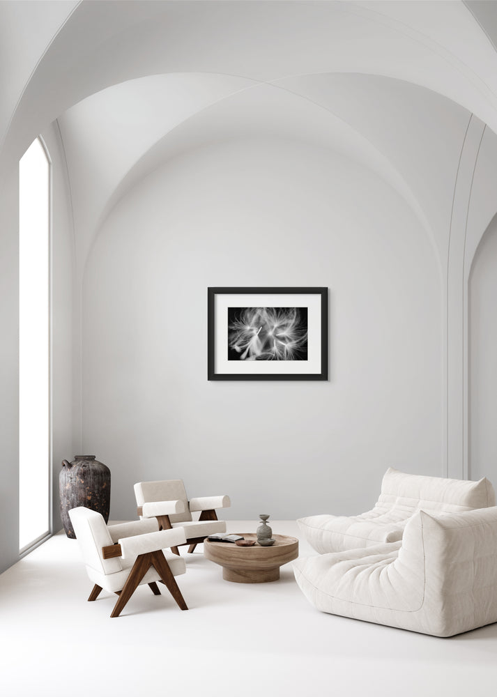 Black &amp; white framed print of dandelions mid flight hanging in a contemporary living room.