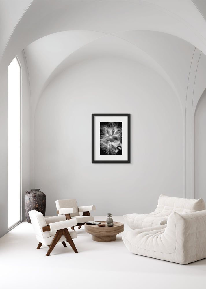 Framed black and white photograph of dandelion seeds mid flight hanging on an all-white wall in an all-white living space.