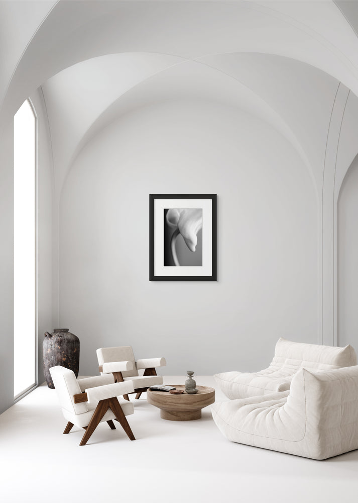 Black and white photograph of a Dendrobium Orchid flower hanging on a wall in an all-white living room.