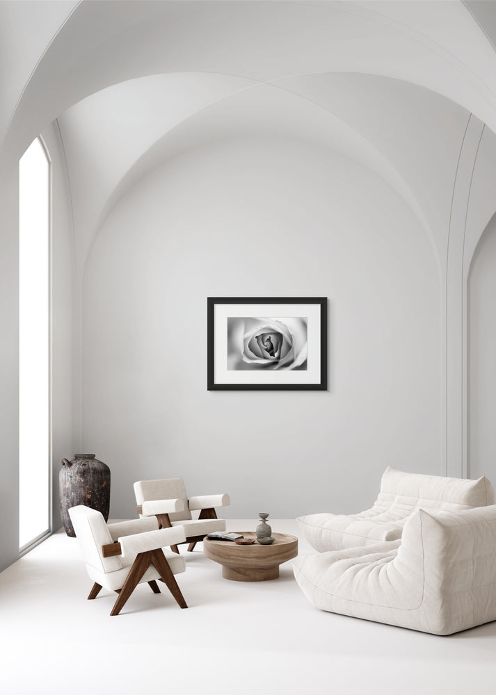 Photograph of a Rose in a frame hanging in an all-white living room.