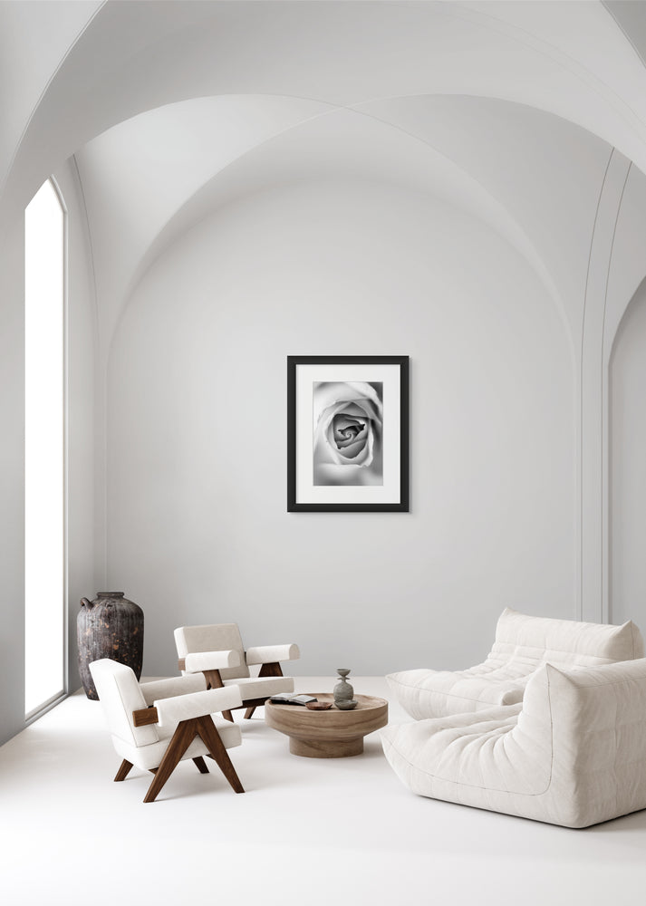 Framed black and white Rose hanging in an all-white contemporary living space.