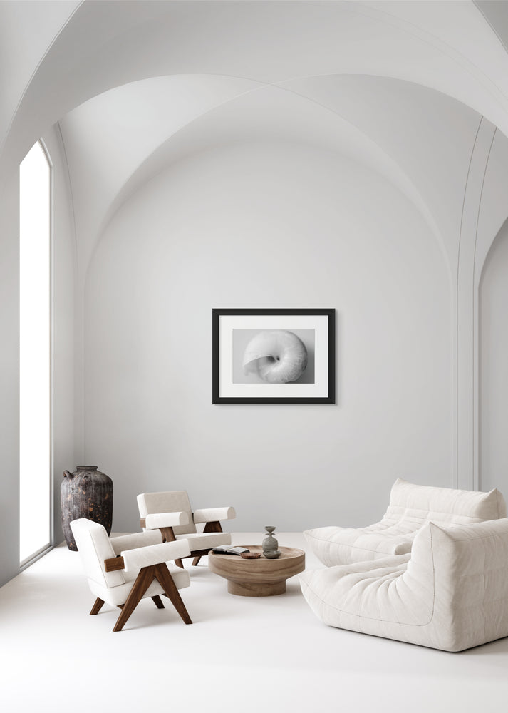 Photo of a snail in a black frame hanging on a wall.