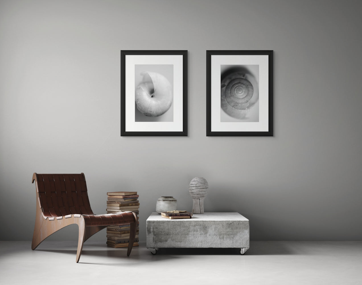 Two framed black and white photos of snail shells hanging on a wall.