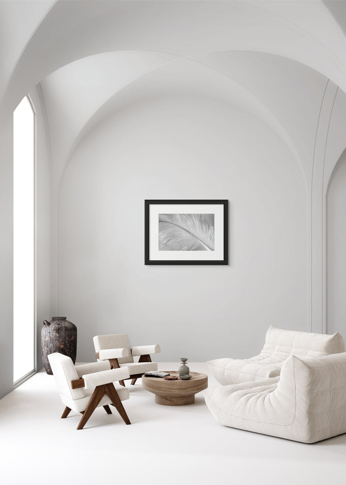 Framed white feather hanging on a wall in an all-white contemporary living space.